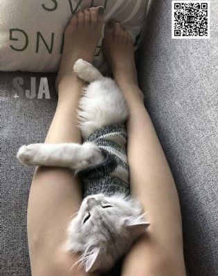 超鹏97国语_4K电影全集观看